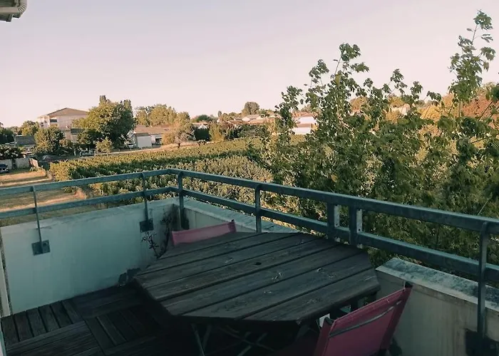 Proche De La Gare Avec Le Calme Des Vignes. Apartman Libourne